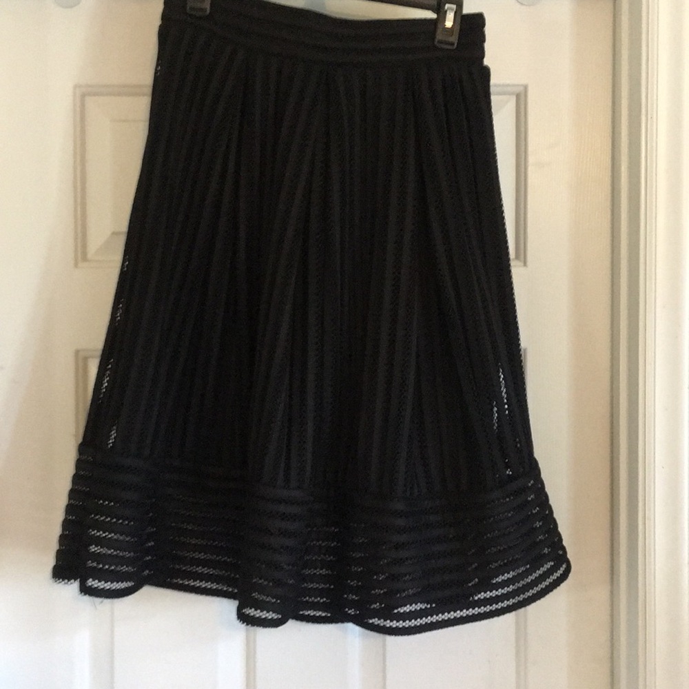 Haute Monde Black Designer Mesh Skirt